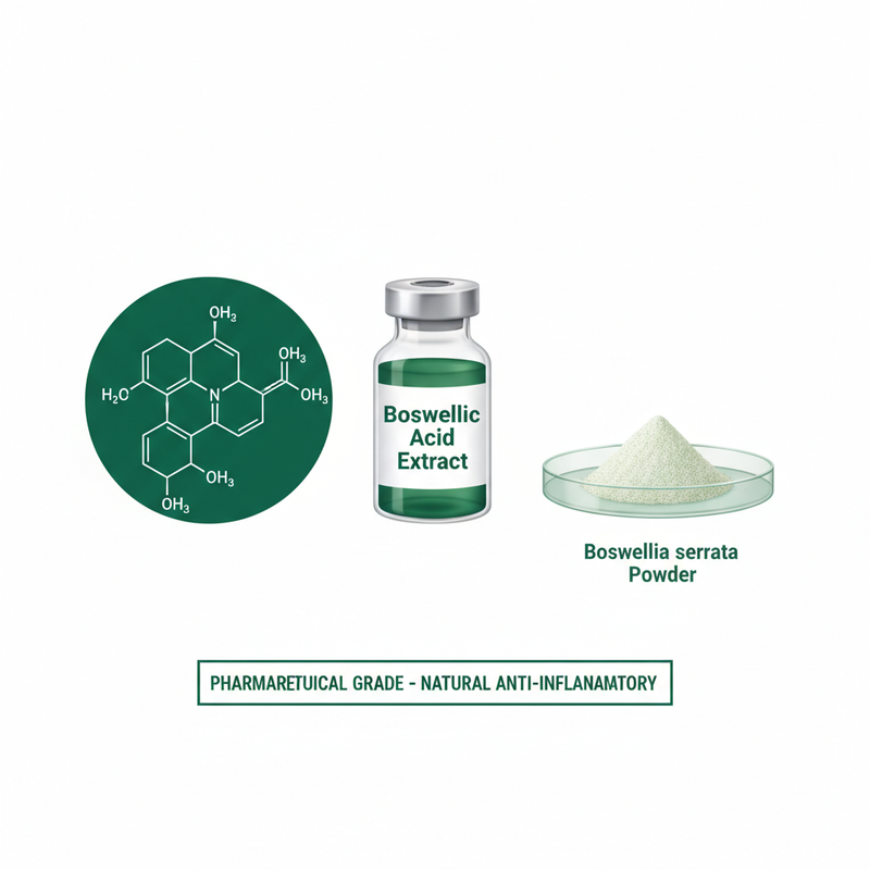 Boswellia Medical Revised